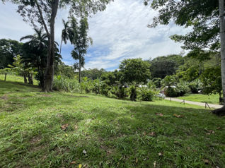 OPORTUNIDAD! LOTE SOBRE RUTA 36 EN COMADRE DE CAHUITA DE LIMON en Cahuita, Talamanca, Limón — 30 000 000 ₡ - Foto 5 de 25