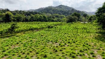 SE VENDE FINCA COMPLETAMENTE PLANA IDEAL PARA DESARROLLO E INVERSION CERCA DE DOMINICAL en San Isidro De El General, Pérez Zeledón, San José — $1,600,000 - Foto 4 de 9