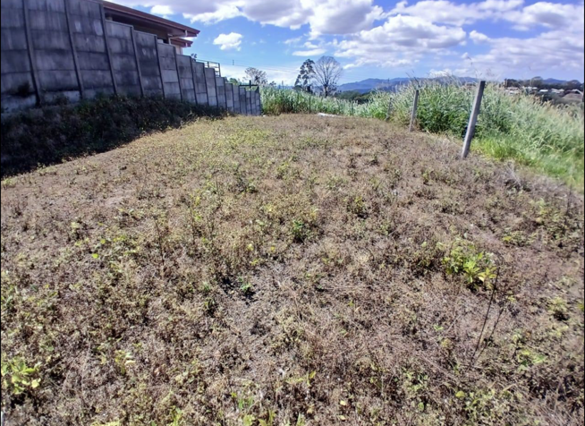Terreno en venta en Grecia – Ubicación estratégica y gran potencial de inversión en Grecia, Alajuela — ₡ 24 900 000 - Foto 2 de 4