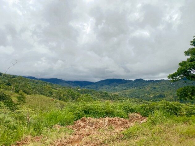 Lote con Vistas 360° en Venta en San Ramón Sur, Pérez Zeledón – Listo para Construir en Páramo, Pérez Zeledón, San José — $29,999