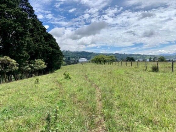 Se vende amplio lote de 28 hectáreas en San Nicolas de Cartago 25-338 in San Nicolás, Cartago — $6,000,000