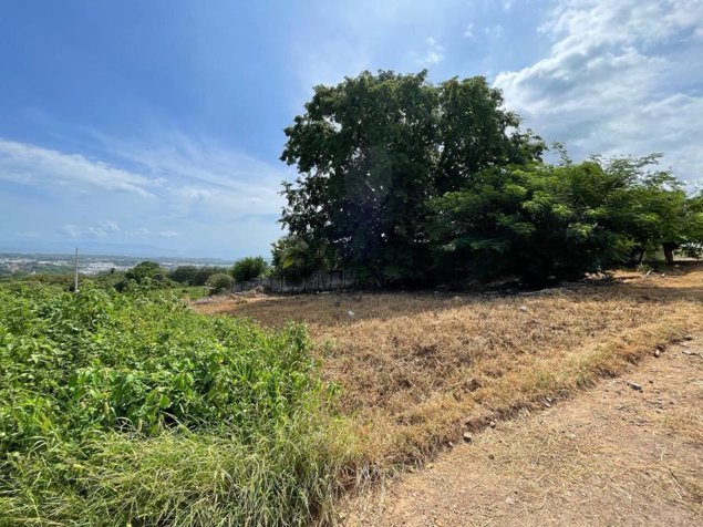 VENTA DE LOTE DE 600 M² | SAN MIGUEL DE BARRANCA, PUNTARENAS in Barranca, Puntarenas — $60,000