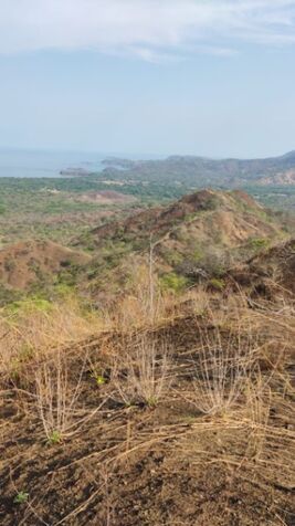 Gran oportunidad de inversión en Playa Potrero, Guanacaste, Costa rica. in Santa Cruz, Guanacaste — $1,500,000