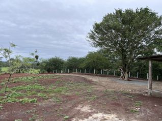 VENTA TERRENO DE DESARROLLO, ALAJUELA, SAN CARLOS, SAN JOSECITO en La Fortuna, San Carlos, Alajuela — $170,000 - Foto 5 de 9
