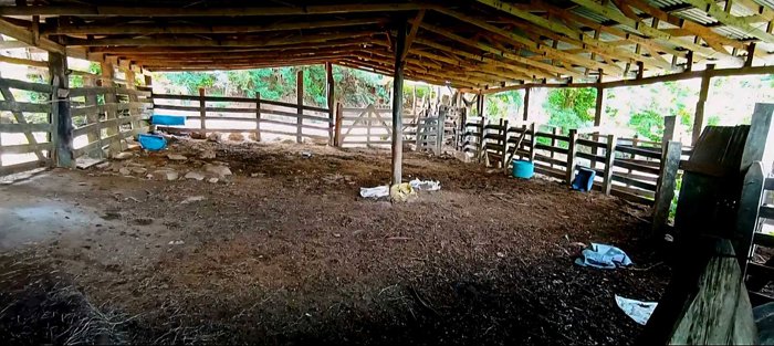 Preciosa Finca en Carrera Buena de San Ramón en Zapotal, San Ramón, Alajuela — ₡ 200 000 000 - Foto 2 de 29