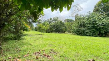 Venta de Lote de 3,149 mt2 en Guápiles 26-779 in Guápiles, Pococí, Limón — $63,000 - Photo 5 of 10