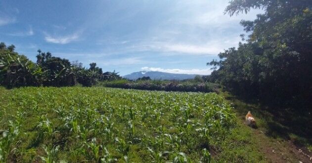 Hermoso terreno con vista panoramica, San Rafael (Concepcion) 6,883 mtrs2 in Concepción, San Rafael, Heredia — ₡ 165 000 000