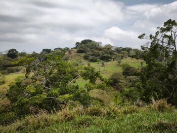 Finca en venta en Barroeta-Atenas-Alajuela-C.R. in Jesús, Atenas, Alajuela — 249 900 000 ₡ - Photo 5 of 17