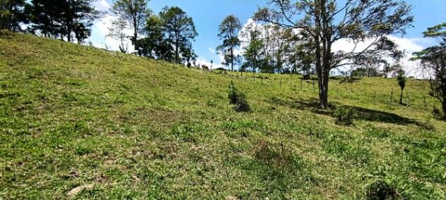 "¡Imperdible! Increíble Propiedad por Bajo Costo" en Sabalito, Coto Brus, Puntarenas — ₡ 25 000 000