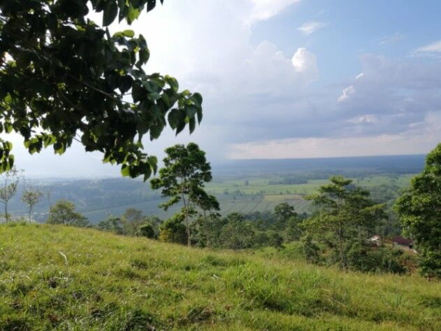 3000mts en San Juan de Florencia  in Florencia, San Carlos, Alajuela — ₡ 95 000 000