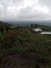 Land For Sale Grecia, Grecia, Alajuela