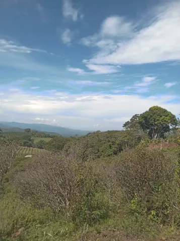 SE VENDE BELLA Y ESPECTACULAR PROPIEDAD EN BARROETA DE ATENAS. en Atenas, Alajuela — ₡ 90 000 000 - Foto 2 de 7