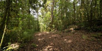 Finca de 594 Hectáreas en Venta Pérez Zeledón Conservación Bosque en La Amistad, Pérez Zeledón, San José — $4,950,400 - Foto 5 de 13