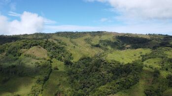40 + Hectares en San Antonio de Baru, Perez Zeledon en Barú, Pérez Zeledón, San José — $330,000 - Foto 4 de 15