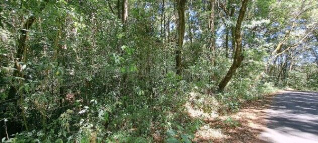 Venta de Finca + Cabaña en León Cortéz-Castro San Andrés, San José. RAH 26-1589 PRECIO REBAJADO in San Andrés, León Cortés Castro, San José — $292,300