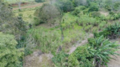 terreno potrero san ramon alajuela in San Juan, San Ramón, Alajuela — ₡ 1 132 200 000