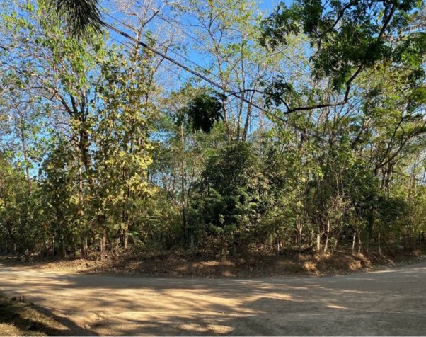 Lote en Venta Playa Avellanas, Guanacaste. in Tamarindo, Santa Cruz, Guanacaste — $400,000 - Photo 2 of 2