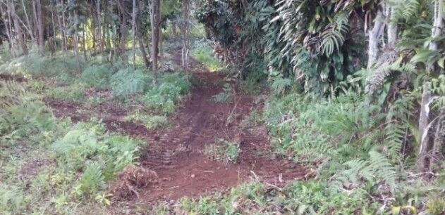 Lote en Rivas, Pérez Zeledón en Rivas, Pérez Zeledón, San José — $500,000