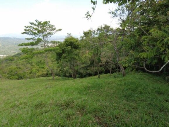 MLS-23-3180 VENTA FINCA MORA SAN JOSE in Colón, Mora, San José — $9,100,000