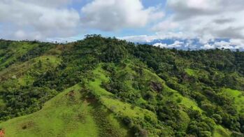 EN VENTA – 9.3 HECTÁREAS EN PLATANARES, PÉREZ ZELEDÓN, COSTA RICA en Platanares, Pérez Zeledón, San José — $156,999 - Foto 4 de 11