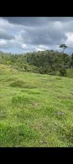 Farm For Sale Pacuarito, Siquirres, Limón