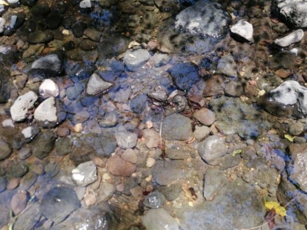 Venta de Lote en Garabito, Puntarenas.  in Jacó, Garabito, Puntarenas — $1,050,000