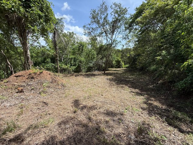 Lote de 5,376 m² en Lomas del Mar, Guanacaste in Sardinal, Carrillo, Guanacaste — $105,000 - Photo 3 of 12