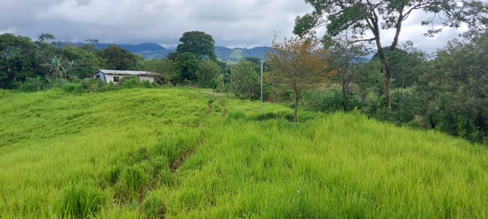 Finca en venta en San Carlos, 3.7 hectáreas con casa para restaurar en Venecia, San Carlos, Alajuela — $272,000 - Foto 2 de 43