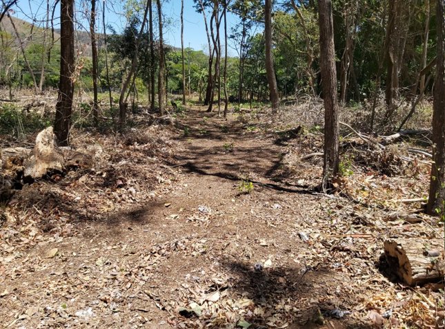 1 Ha para comercial entre Santa Cruz - Nicoya en Santa Cruz, Guanacaste — $200,000