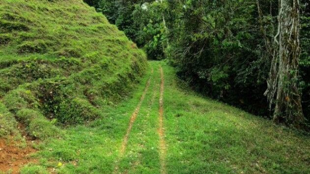 6.49 acres lot opportunity to invest in costa rica en Puerto Cortés, Osa, Puntarenas — $149,000