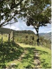 SE VENDE ESPECTACULAR FINCA EN EL GUARCO DE CARTAGO.  in San Isidro, El Guarco, Cartago — 140 000 000 ₡ - Photo 5 of 7