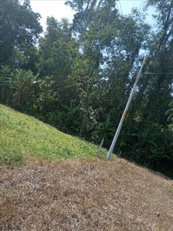 Venta de Lote  in Cahuita, Talamanca, Limón — ₡ 10 000 000