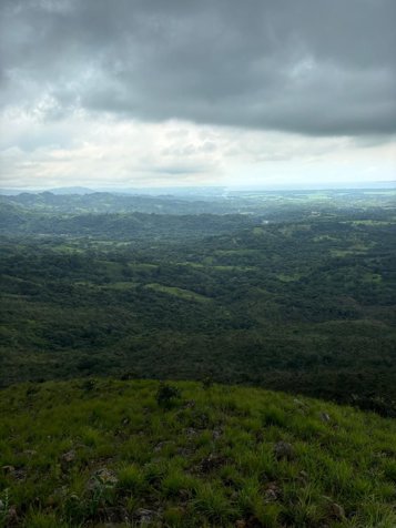 High Yield Livestock Farm - Miramar de Puntarenas en Miramar, Montes De Oro, Puntarenas — ₡ 837 600 000