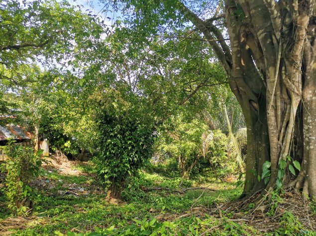 Se Vende Finca, La Colina - Quepos in Quepos, Puntarenas — $695,834 - Photo 3 of 5