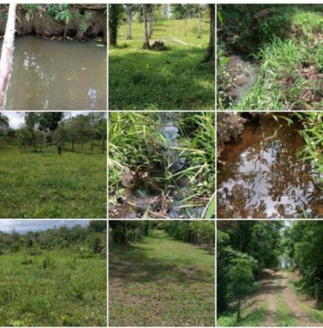 DE OPORTUNIDAD BELLA FINCA EN SAN JOSÉ DE UPALA.  en San José, Upala, Alajuela — ₡ 27 000 000