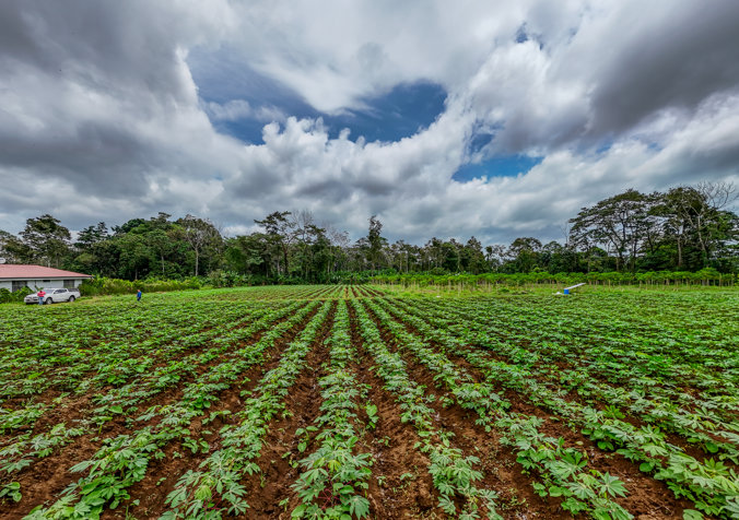 Se Vende Finca en SonaFluca, Fortuna de San Carlos en La Fortuna, San Carlos, Alajuela — ₡ 50 000 000 - Foto 2 de 16