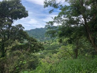 Terreno para vender Alto Lopez, Atenas en Atenas, Alajuela — $95,000 - Foto 4 de 30