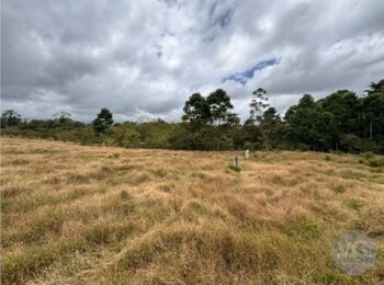 Finca a la venta en Bella Vista en Guapiles. en Guápiles, Pococí, Limón — 300 095 000 ₡ - Foto 5 de 8
