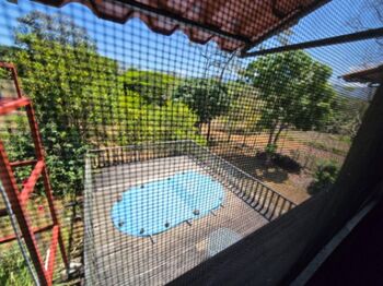 ALQUILER HERMOSA CABAÑA RUSTICA CONCEPCION DE ATENAS en Concepción, Atenas, Alajuela — 663 000 ₡ - Foto 5 de 14