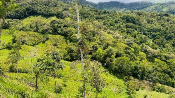 10 hectares de potrero y vista Alto de San Juan, Perez Zeledon en Barú, Pérez Zeledón, San José — $199,999