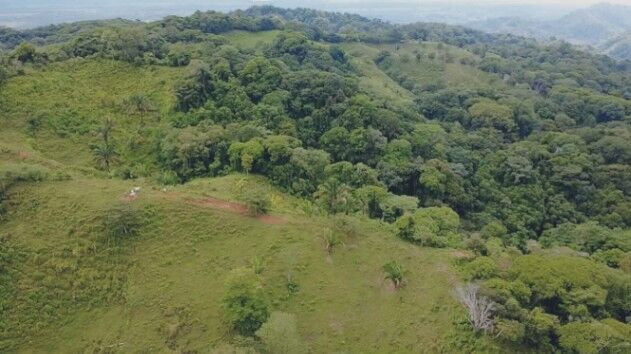 TERRENO DE 7.5 HECTÁREAS CON VISTA AL MAR Y AL RÍO EN BALSAR DE OSA en Sierpe, Osa, Puntarenas — $650,000