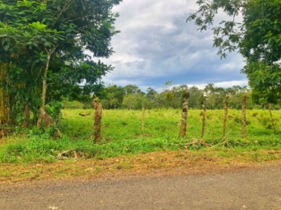 Terreno de 31000 m2 en el Molino de Florencia, todos los servicios en Florencia, San Carlos, Alajuela — ₡ 50 000 000