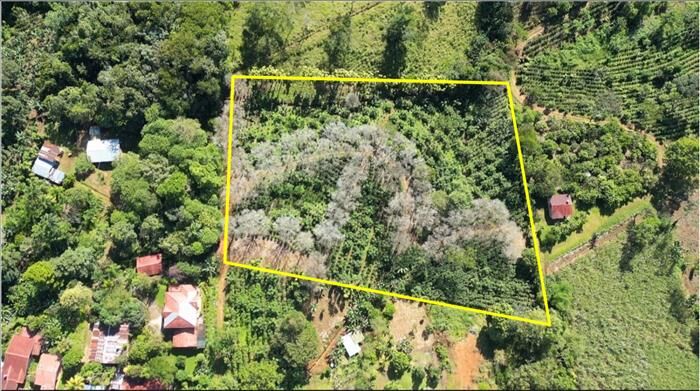 Venta lote 12.073 mts2 Santa Elena del General en Cajón, Pérez Zeledón, San José — $155,000