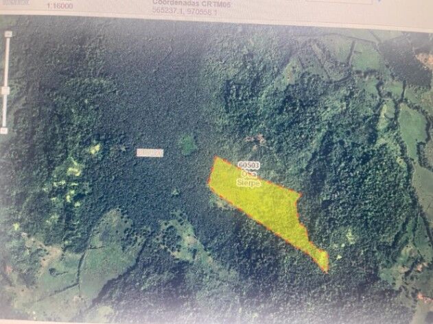 SE VENDE BELLA FINCA EN SIERPE DE OSA.  en Sierpe, Osa, Puntarenas — ₡ 70 000 000