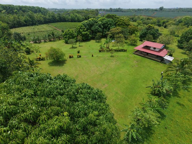 Quinta privada a minutos de Muelle, San Carlos! 🌿 en Cutris, San Carlos, Alajuela — ₡ 82 000 000