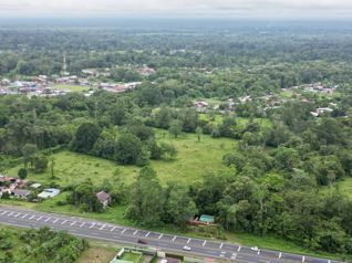 Venta de Finca de 10 hectáreas planas de uso mixto en Guácimo, Limón en Jiménez, Pococí, Limón — 500 000 000 ₡ - Foto 3 de 11