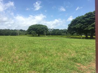 Venta de Lote, Puntarenas, Miramar, Hacienda Montes de Oro