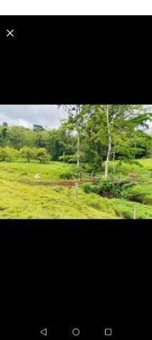 Finca en Katira en Katira, Guatuso, Alajuela — $150,000