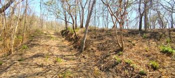 Private Mountain View Lot with Native Trees at Marbella en Cuajiniquil, Santa Cruz, Guanacaste — $140,000 - Foto 4 de 10