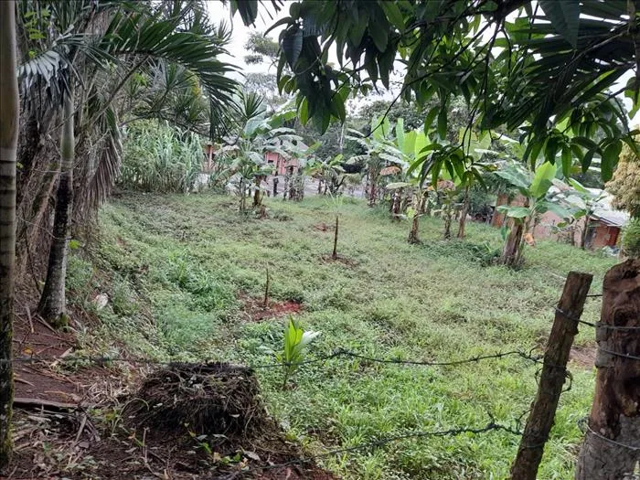 Venta de Lote San Luis de Upala  en Upala, Alajuela — ₡ 8 000 000 - Foto 2 de 6